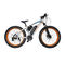Ucuz 350W yağ lastikli elektrikli bisiklet, 26 inç alaşımlı elektrikli bisiklet, lityum pil ve pedalı yardımı ile Tedarikçi